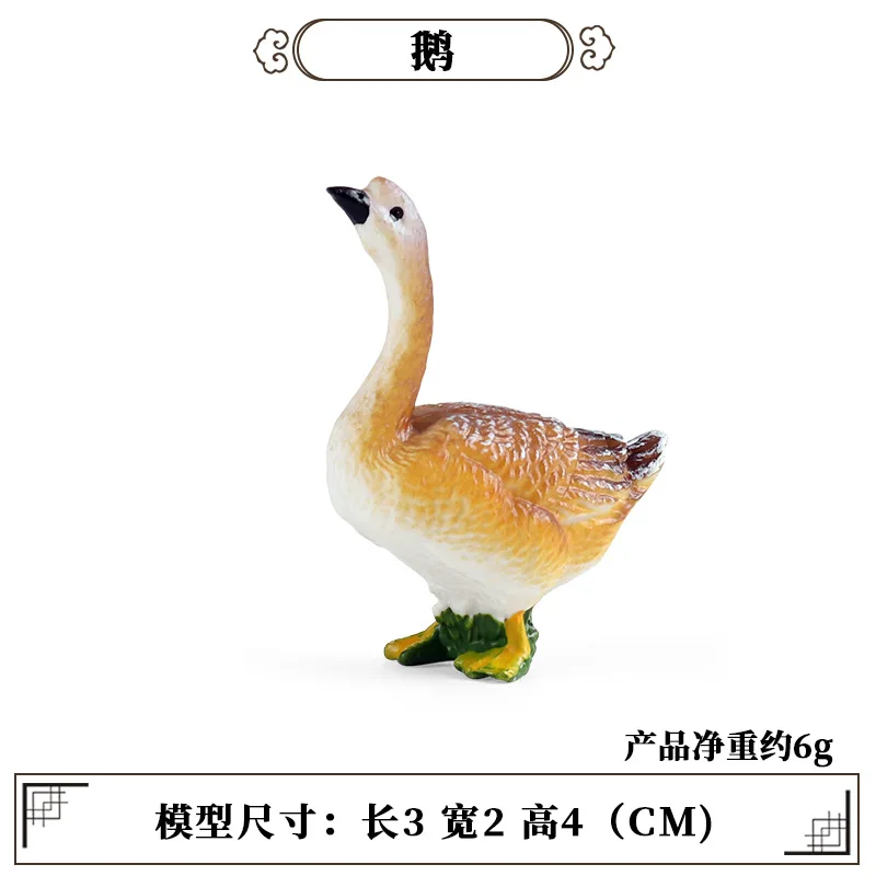 Science Toys - Outil d'enseignement éducatif, Mini modèle d'animal