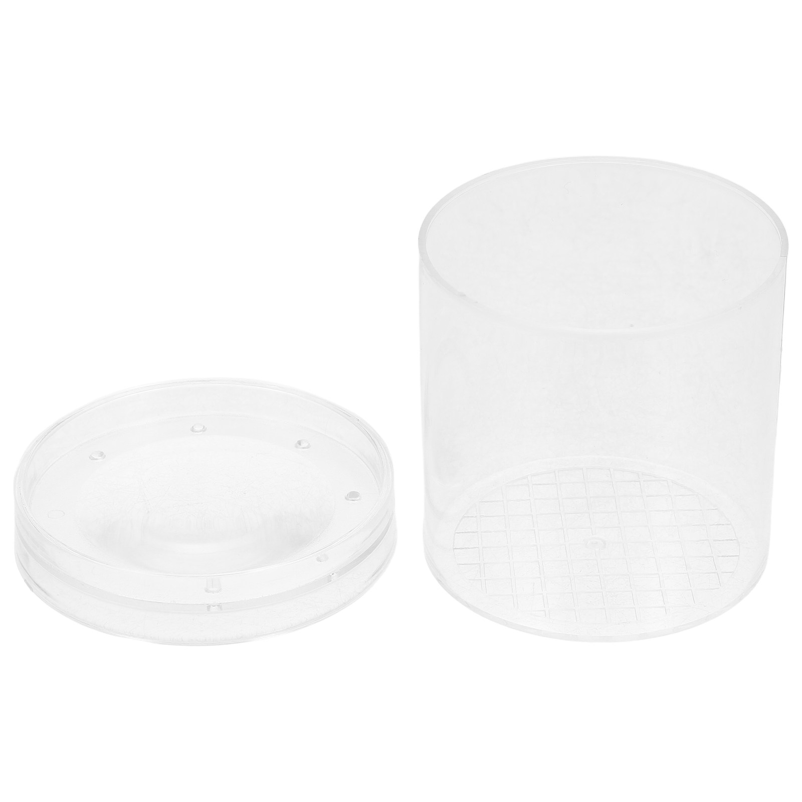 Boîte d'observation d'insectes - Science Toys avis et prix