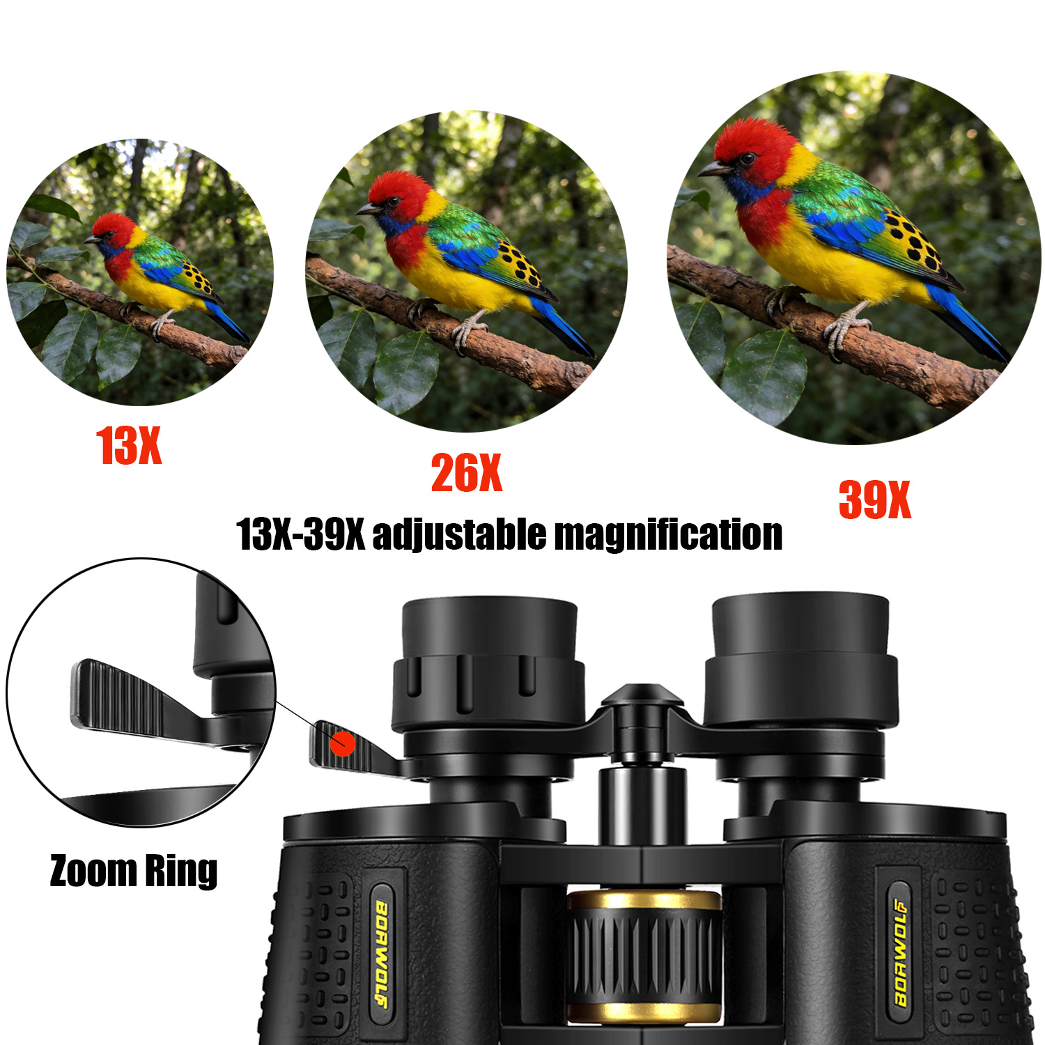 BORWOLF 13-39X70 ED Jumelles d - National Geographic Telescope 70Mm avis et prix